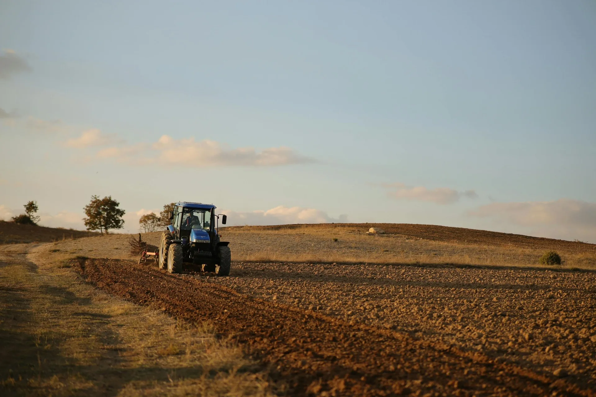 The cost of cultivation: Why moving soil can harm productivity and biology