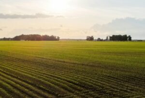 Farming Through Drought: Lessons from Bulgaria with Marian Dichevski