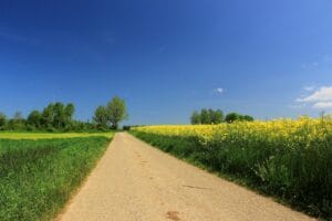 Reduce your reliance on fertiliser and focus on soil health this spring