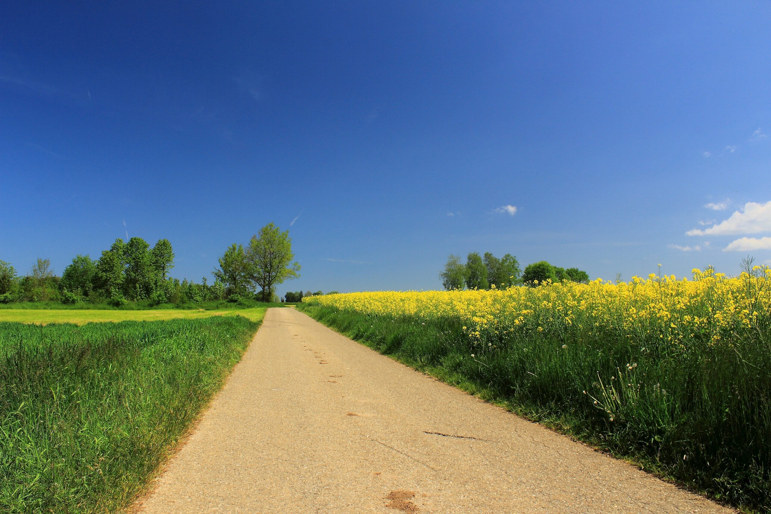 Reduce your reliance on fertiliser and focus on soil health this spring