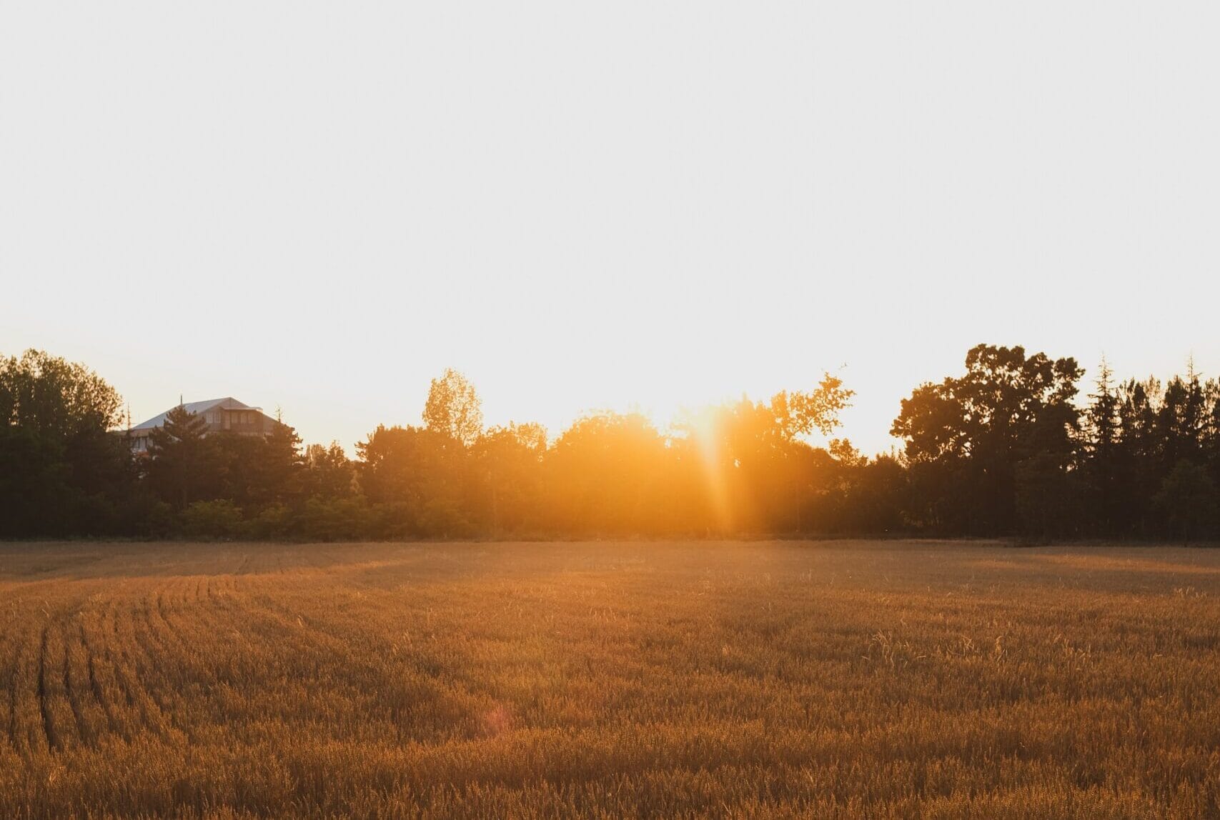 Farming beyond the average year: why resilience must shape crop nutrition